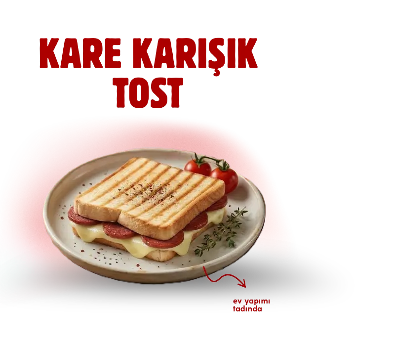 Kare karışık tost 
